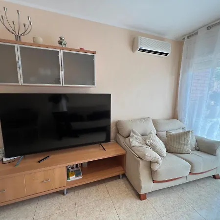 Camelia יורט דה מאר