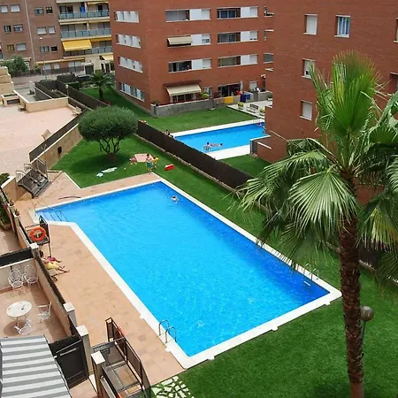 Camelia * Lloret de Mar