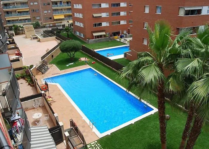 Camelia * יורט דה מאר